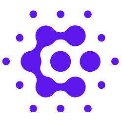 コンサル・プロ人材 | Vivaple（ヴィヴァプル）